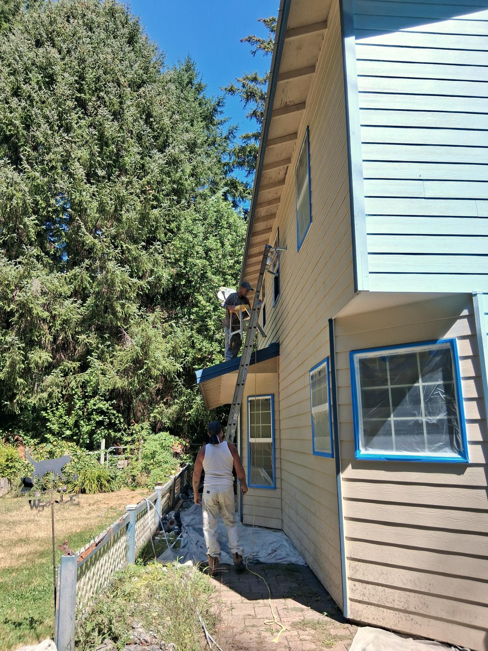 The narrow way between two freshly painted buildings, a ladder set against the wall and a painter at the far end.